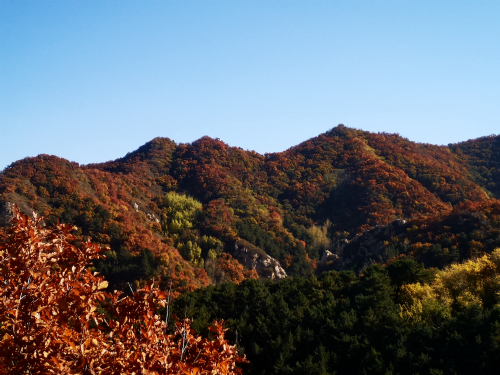 北京密云大岭生态山楂园